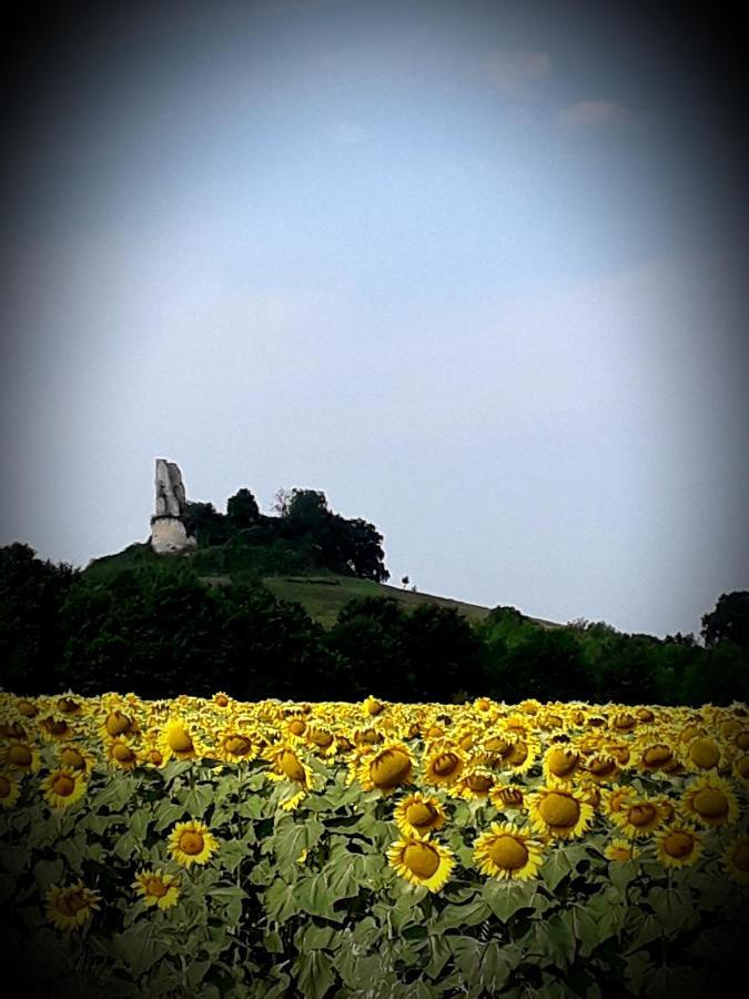 安妮住宿加早餐旅馆 Saint-Martin-de-Gurçon 外观 照片